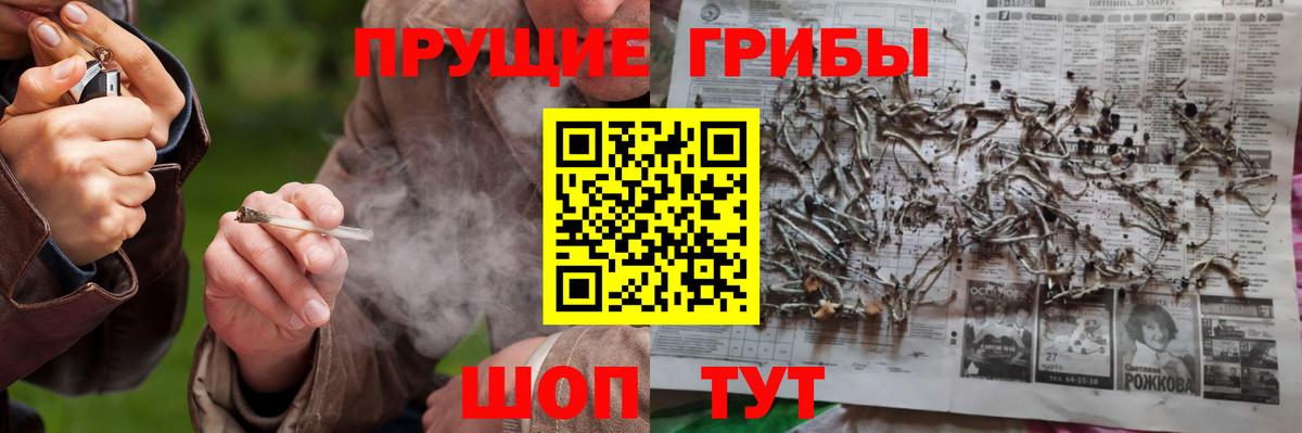 Псилоцибиновые грибы GOLDEN TEACHER  Галлюциногенные грибы прущие грибы  Вход с VPN  Чебоксары 